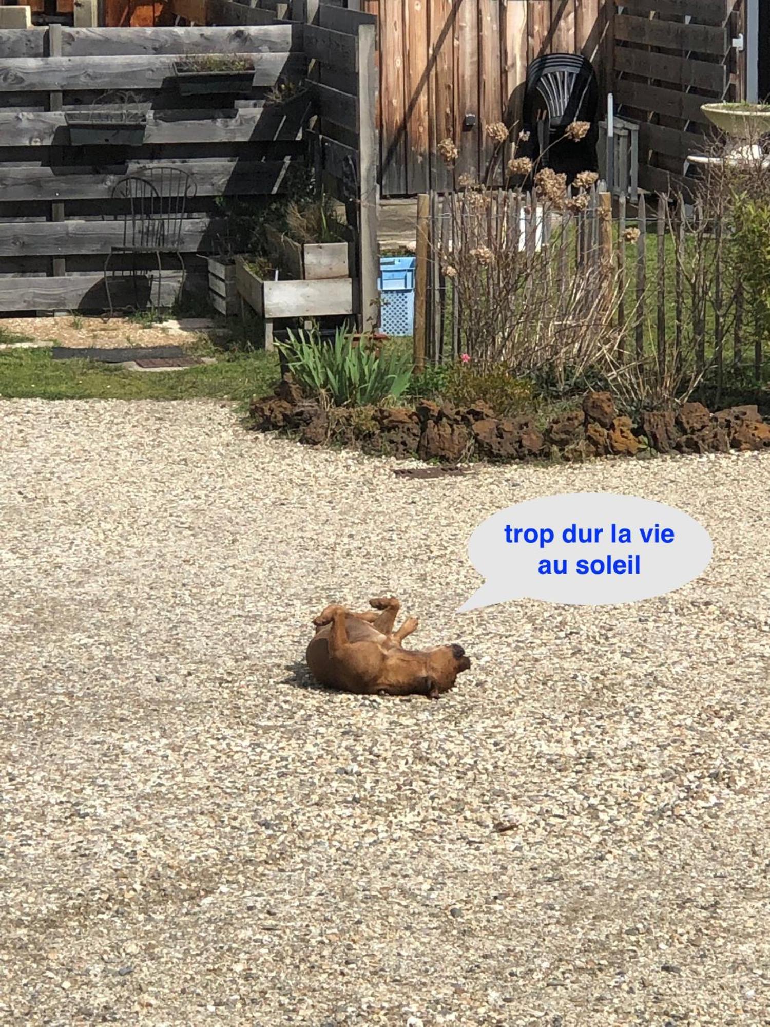 Les Logis D'Argent Studio Independant Parking Entree Autonome Linge De Lit Et Serviettes Wifi Fibre Tv Connectee 米尼赞海滩 外观 照片